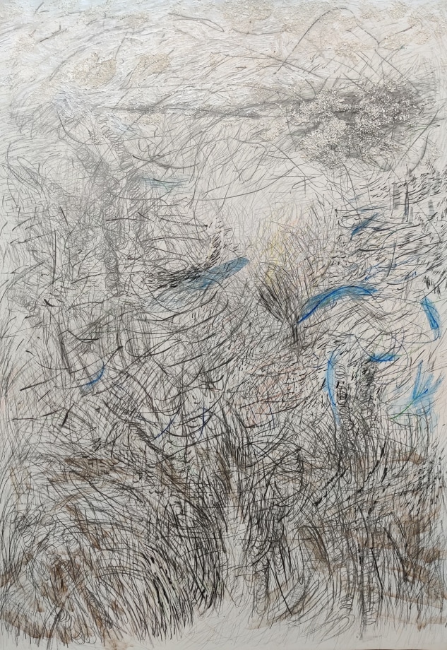 Jayashree Chakravarty,&nbsp;Wilderness,&nbsp;2020, Watercolor, graphite, charcoal, ink, shell, acrylic on paper, 39.25 x 27.63 in