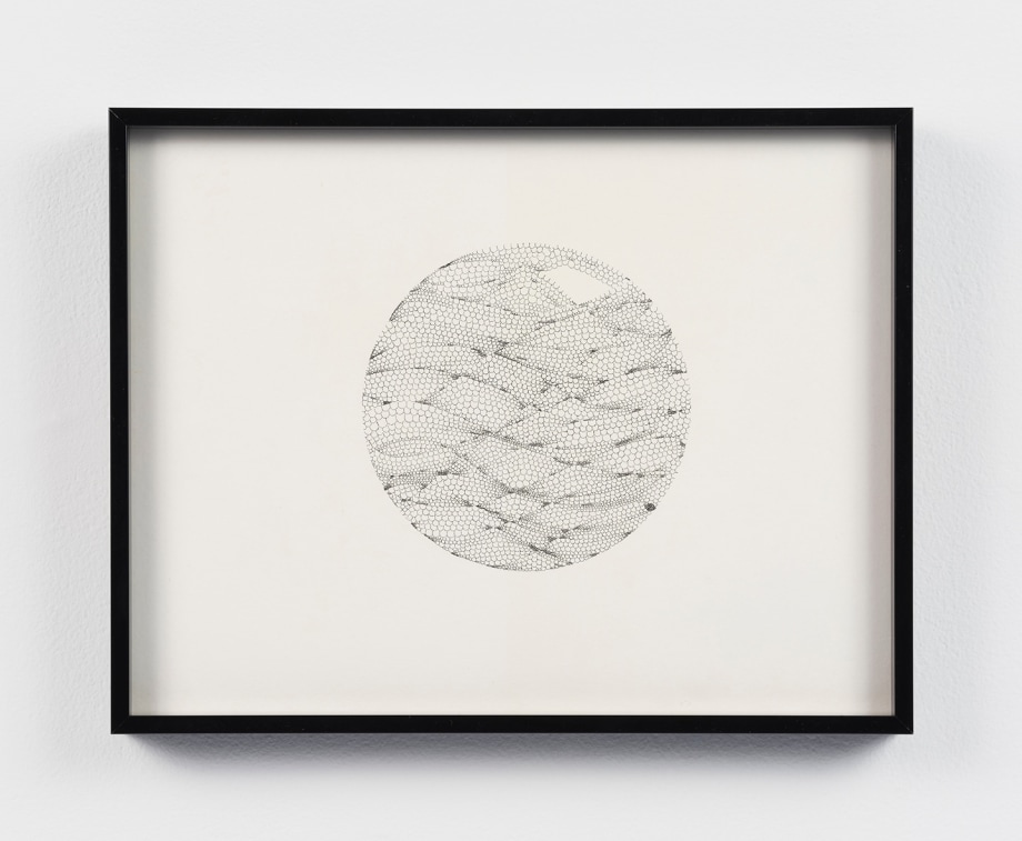 a drawing of circular shape with patterns in the middle of the paper with the ambient background