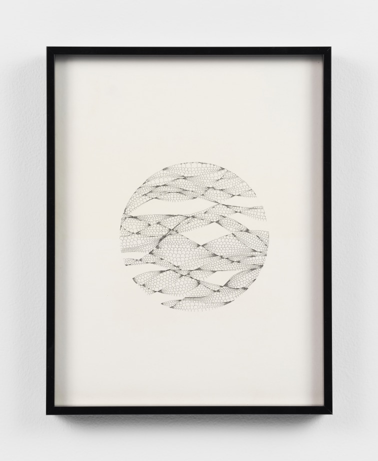 a drawing of circular shape with relaxed patterns in the middle of the paper with the ambient background