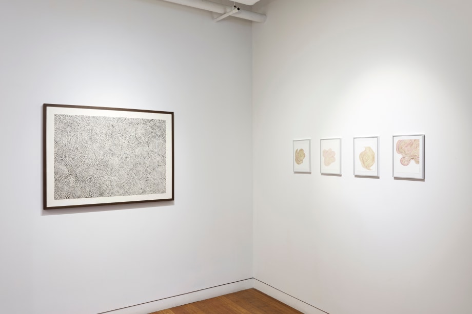 Installation view of exhibition