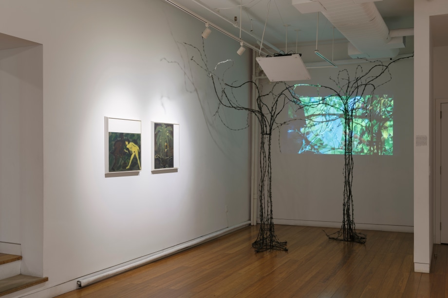 Installation view of exhibition