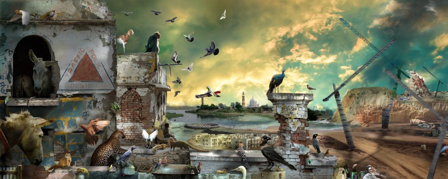 image of birds and other animals in a post apocalyptic landscape