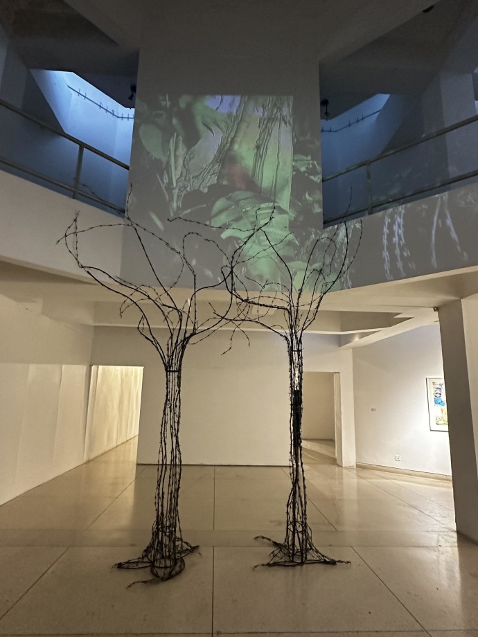 Barbed wire trees in front of a video of South Asian parrots