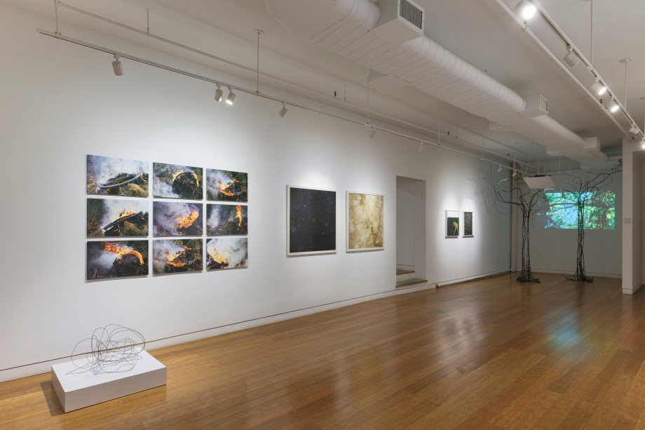 Installation view of exhibition