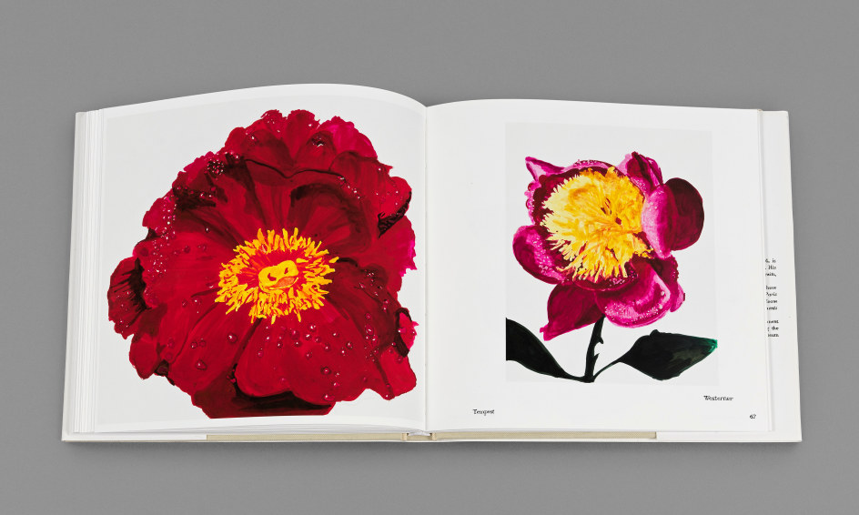 Sharon Core, Facsimile: Irving Penn, Flowers, 2024. Book comprising 25 double-sided archival pigment prints,&nbsp;bound and presented&nbsp;in&nbsp;a custom acrylic&nbsp;slipcase, 10 1/4 x 10 1/2 x 1 inches.