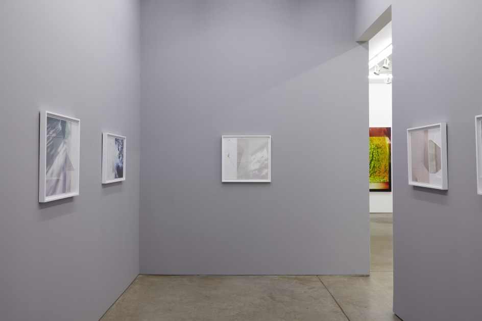 Installation view.