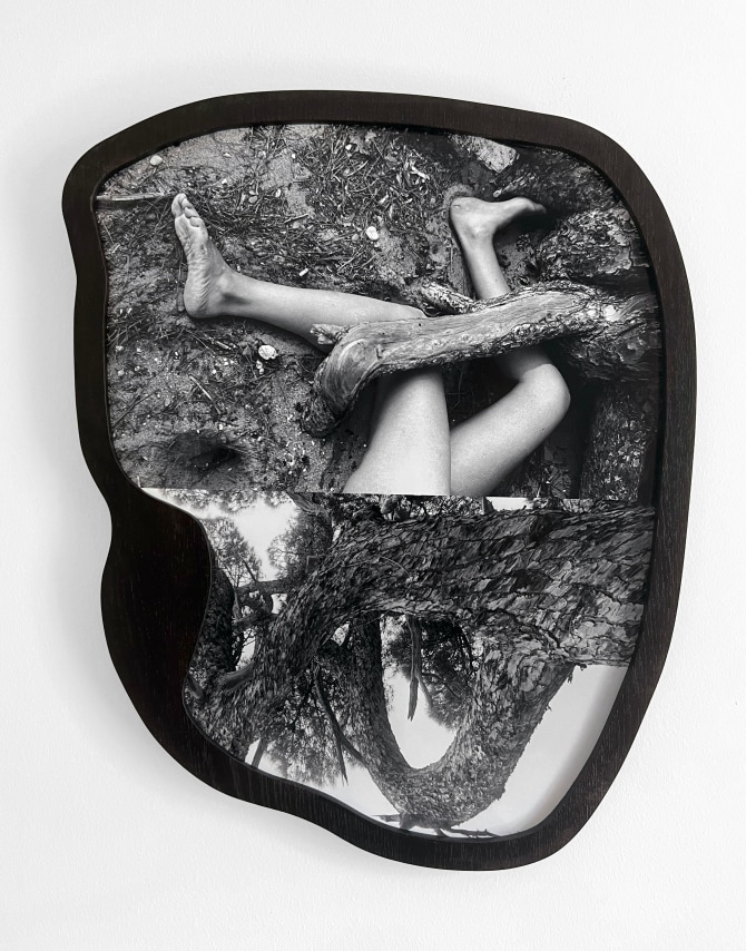 Maria Antelman,&nbsp;Tree Talker, 2023.&nbsp;Archival pigment print,&nbsp;23 x 19 inches.
