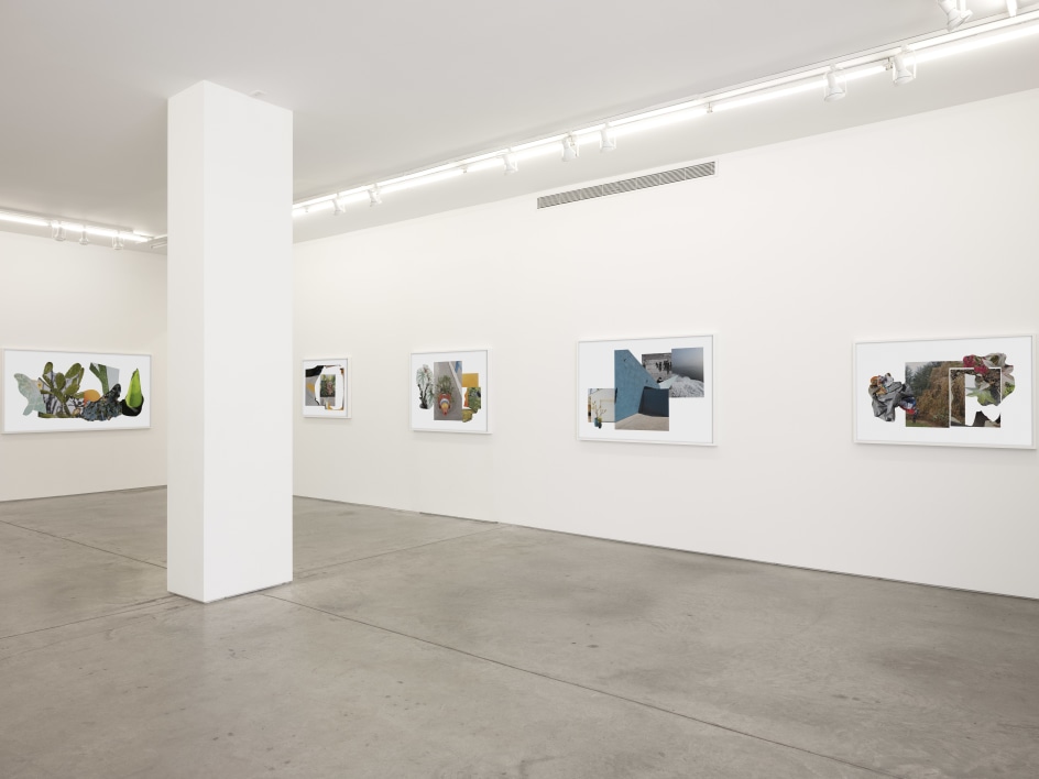 Installation view, Sandi Haber Fifield,&nbsp;The Thing in Front of You, Yancey Richardson Gallery, 2024.