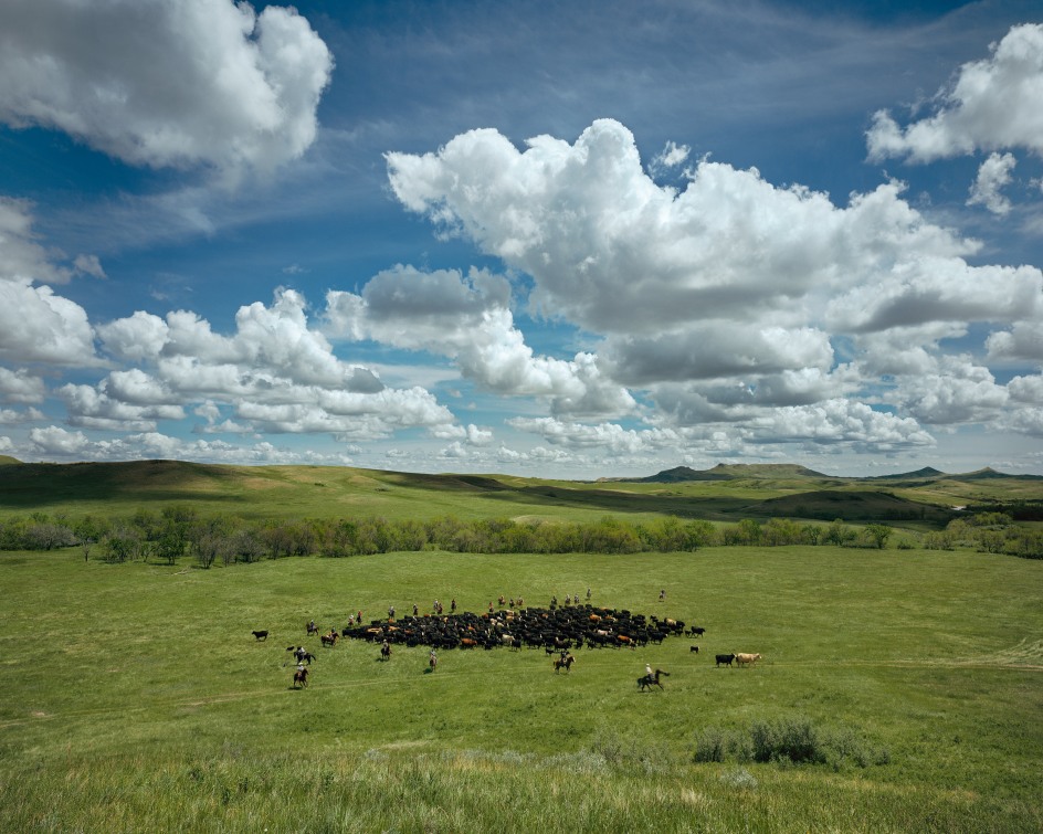 Round Up No.2,&nbsp;Mckenzie County, North Dakota, 2005.&nbsp;From the series&nbsp;Dirt Meridian.&nbsp;Archival pigment print.