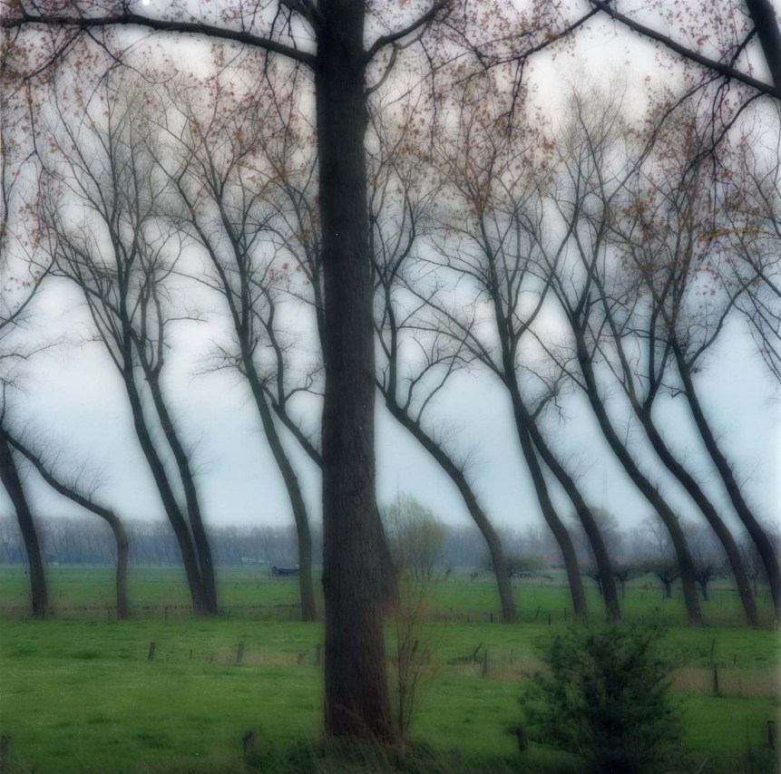 Damme, Belgium (4-04-8c-11),&nbsp;2004,&nbsp;19 x 19,&nbsp;28 x 28, or 38 x 38 inch&nbsp;archival pigment print