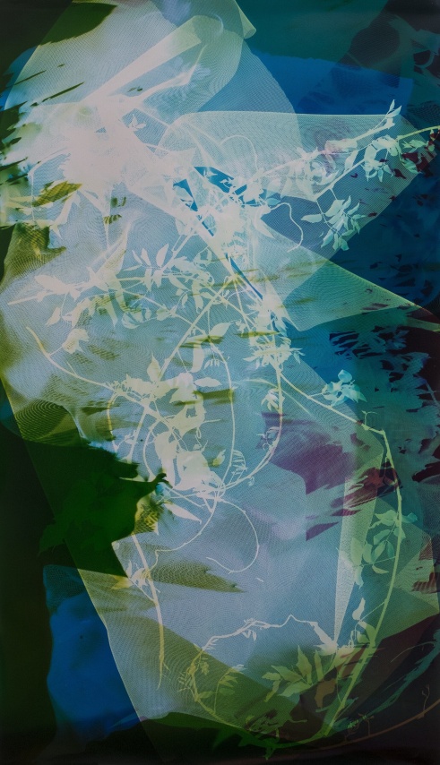 Bryan Graf, Field Recording (The Sun Room IX), 2017. Unique chromogenic photogram.