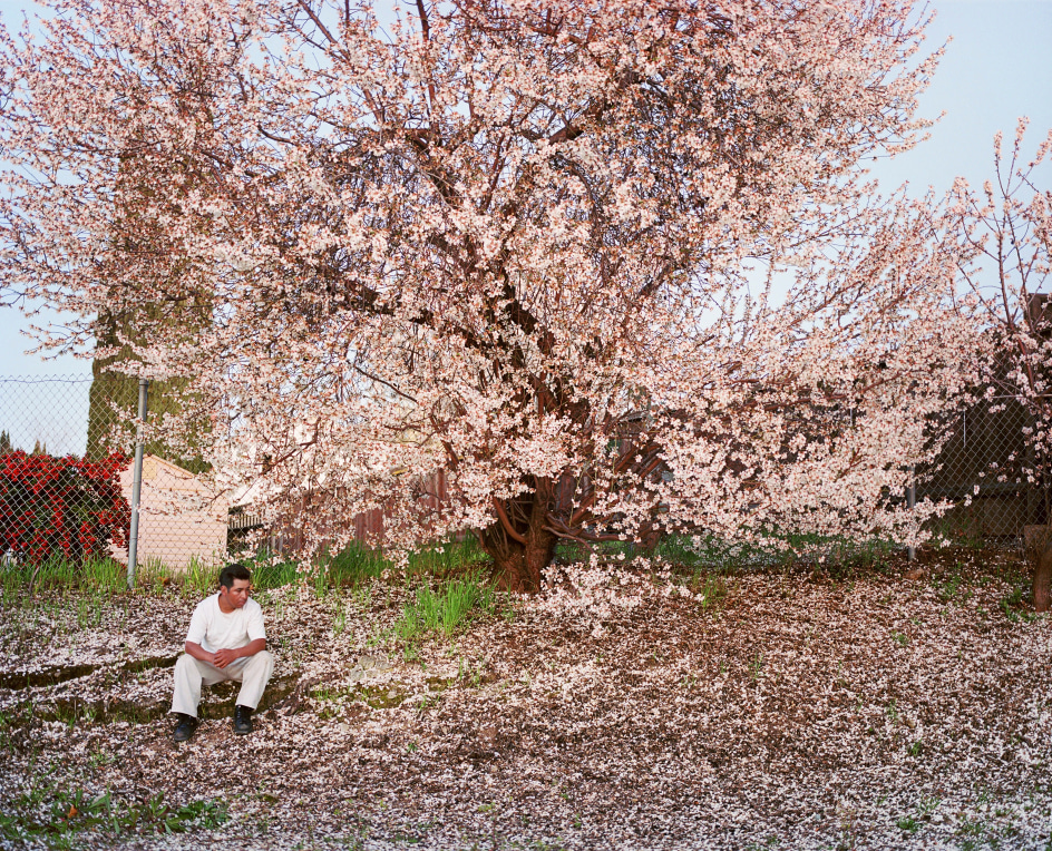 Larry Sultan, Antioch Creek, 2008.