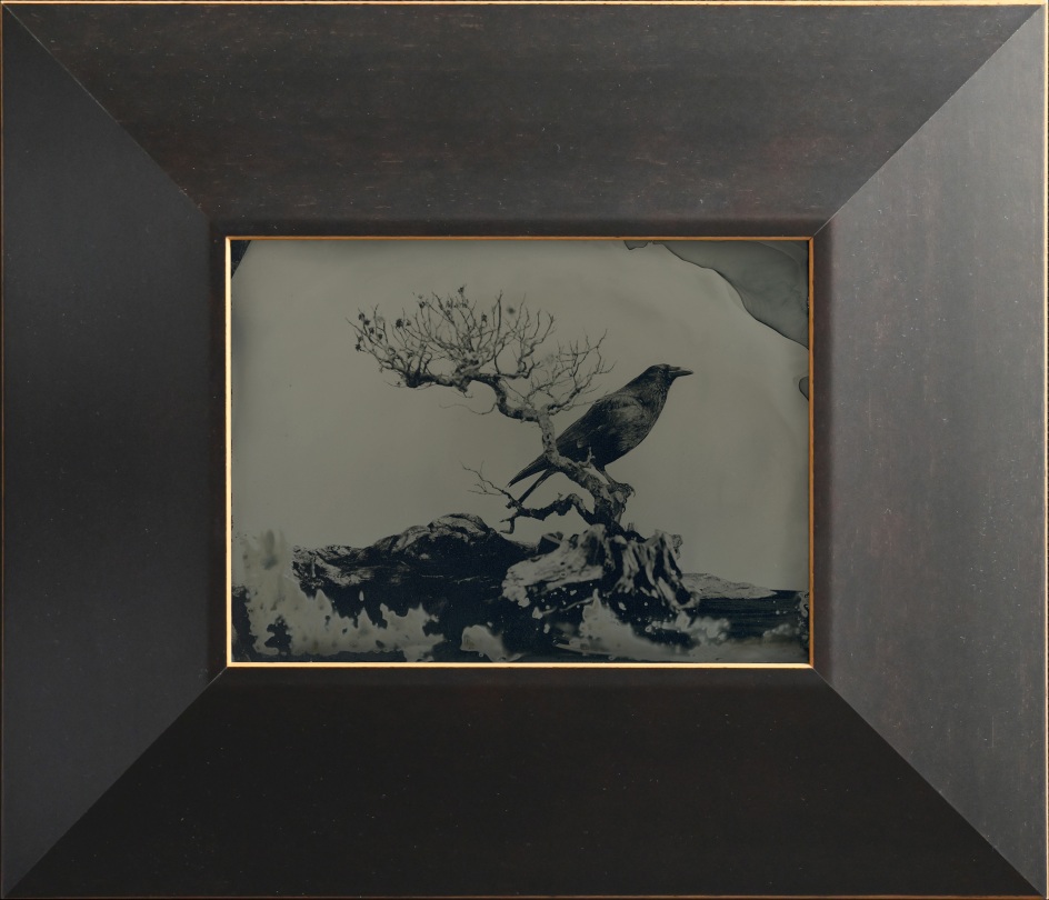 Yamamoto Masao,&nbsp;Untitled (AM #15), 2023. Unique collodion ambrotype, image size: 5 1/8 x 7 inches, frame size: 10 7/8 x 11 3/4 inches.