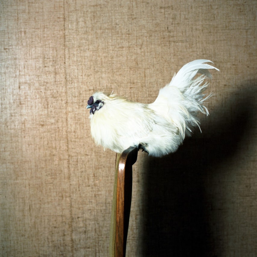 Hellen van Meene,&nbsp;Untitled #388, 2012. Chromogenic print, 16 x 16 inches.