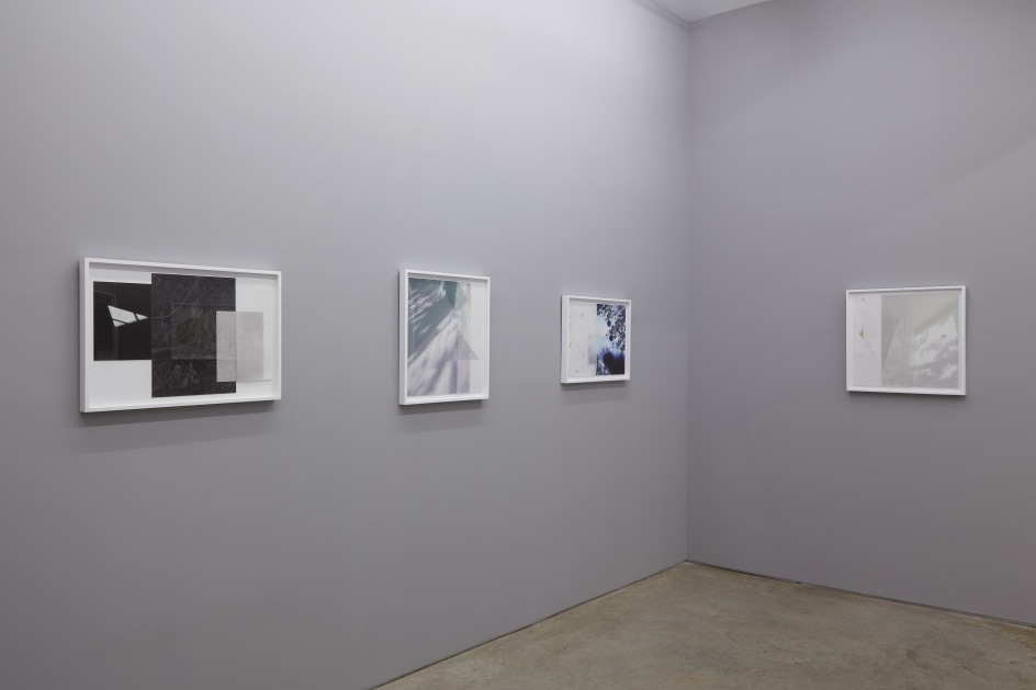 Installation view.