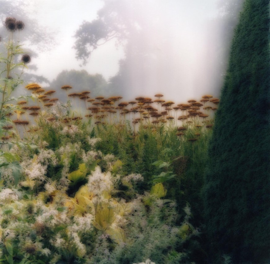 Forde Abbey, England (9-05-25c-11),&nbsp;1995,&nbsp;19 x 19,&nbsp;28 x 28,&nbsp;or 38 x 38 inch&nbsp;archival pigment print