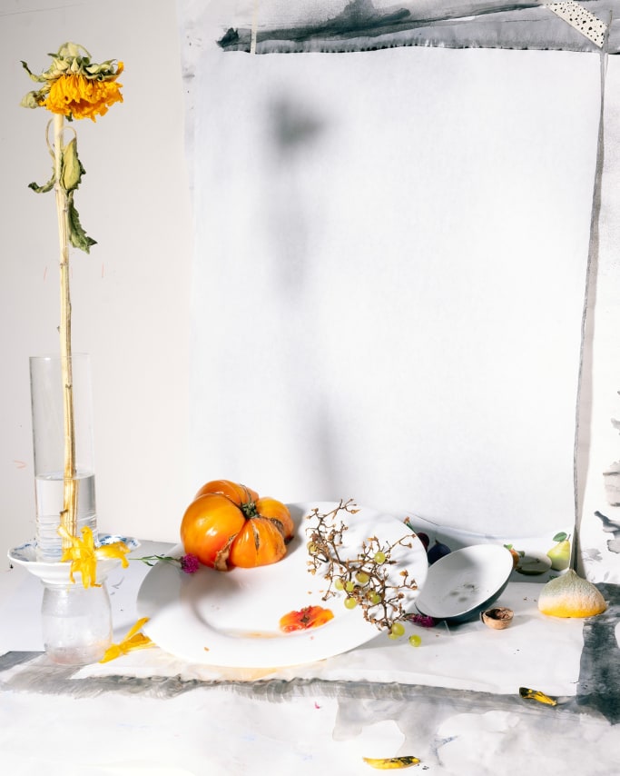 100 no, 2023, from the series&nbsp;Who Loves the Sun. Archival pigment print, 40 1/2 x 32 1/2 inches.