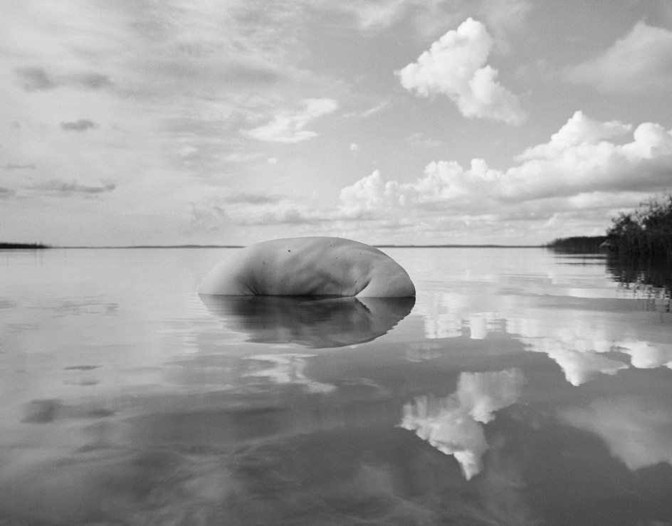 Arno Minkkinen, Oulujarvi Afternoon, Paltaniemi, Kajaani, Finland, 2009. Archival pigment print, 26 x 30.