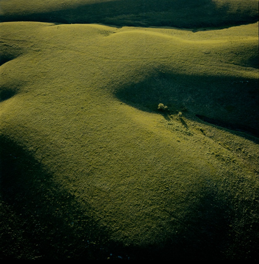 Konza Prairie, June, 1982. Chromogenic print. Available at 30 x 30 or 40 x 40 inch chromogenic print