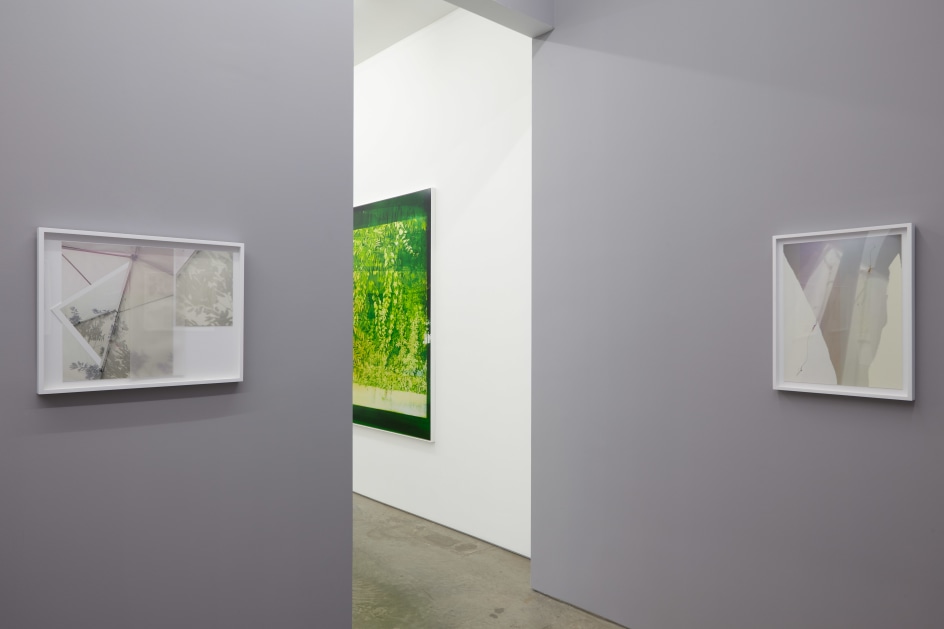 Installation view.