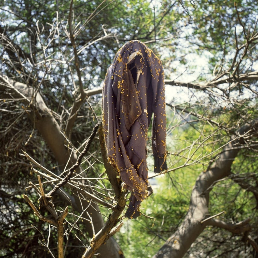 Anthony Hernandez, Landscapes for the Homeless #38, 1990. Archival pigment print, 40 x 40 inches.