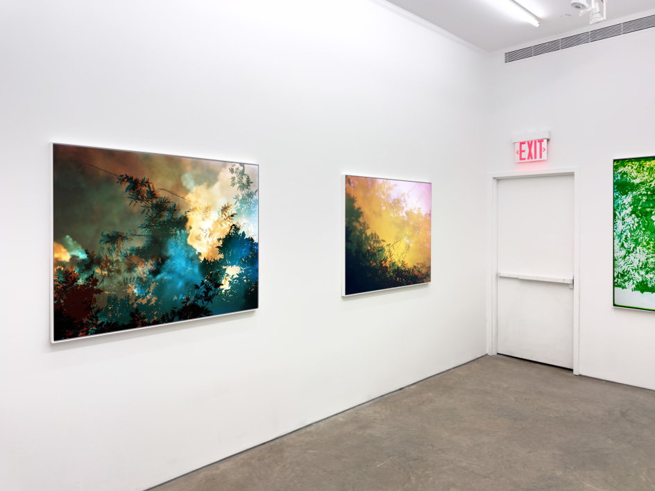 Installation view, Bryan Graf, Midnight Swim, Yancey Richardson Gallery, 2024.