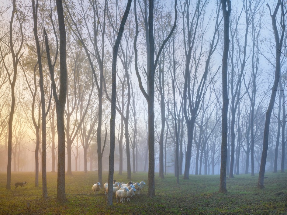 Jill&#039;s Keep, Rhinebeck, 2021, Chromogenic print, 50 x 60 inches.