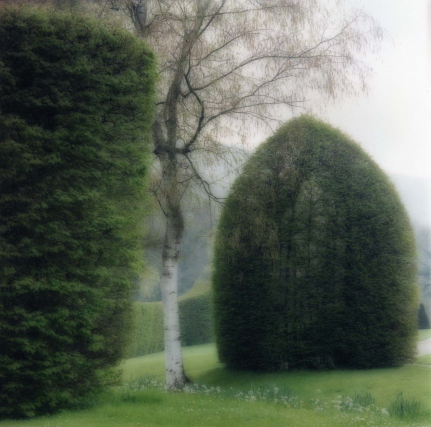 Annevoie, Belgium (4-04-10c-4),&nbsp;2004,&nbsp;19 x 19,&nbsp;28 x 28,&nbsp;or 38 x 38 inch archival pigment print