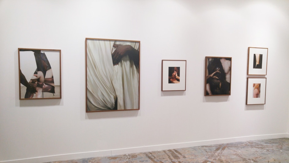 Curiosa Sector, Installation View.&nbsp;