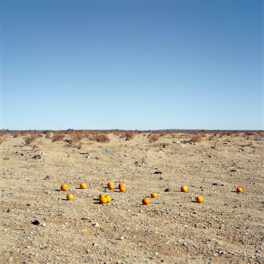 Discarded #9,&nbsp;2012. Archival pigment print. Image dimensions 40 x 40 inches, frame&nbsp;dimensions 47 x 47 inches.&nbsp;&nbsp;