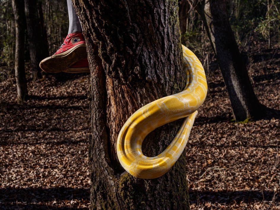 Elise with Snake,&nbsp;2019.&nbsp;Archival pigment print. From the series&nbsp;Knit Club.