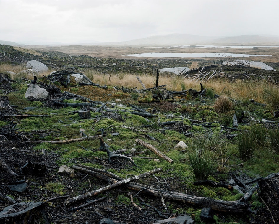 Cross, Rannoch Moore, Scotland,&nbsp;2009. Chromogenic print, 76 3/4 x 65 inches.