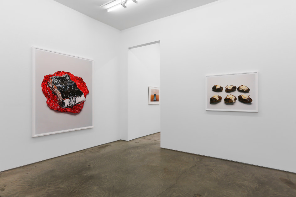 Installation view.