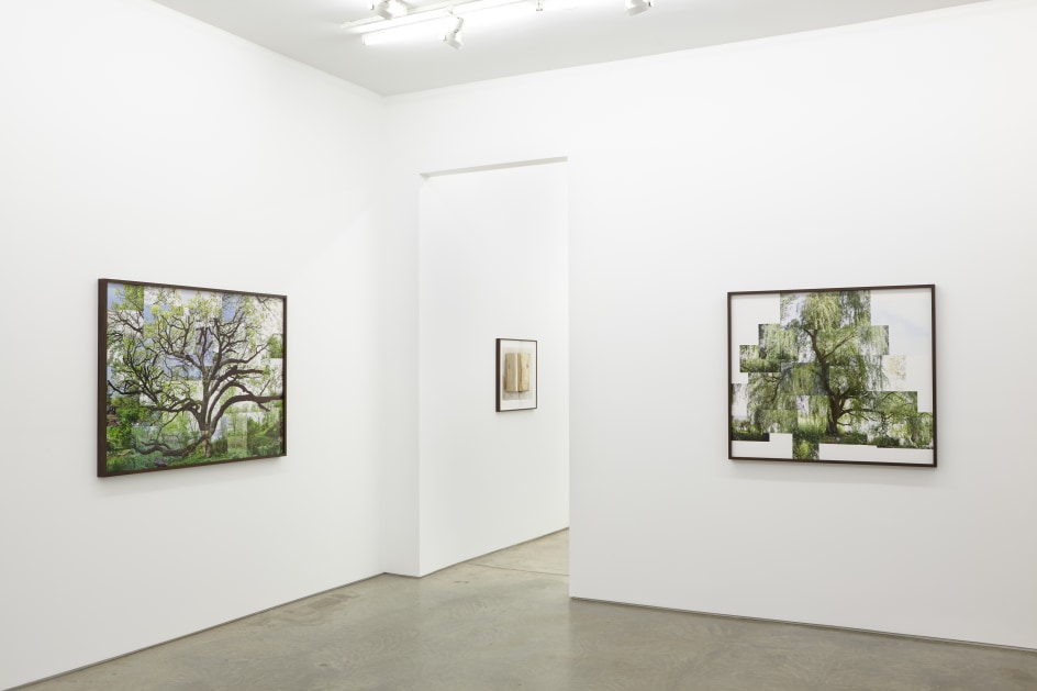 Installation view.