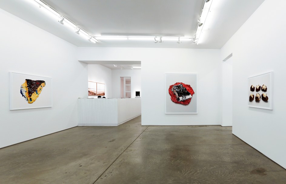 Installation view.