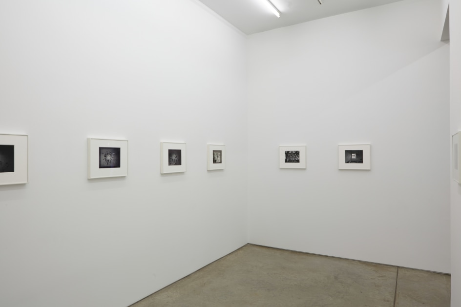 Installation view.&nbsp;