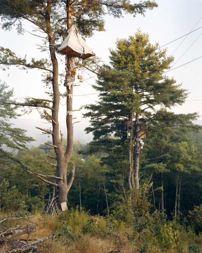 Tree-Sits,&nbsp;2017. Chromogenic print.&nbsp;