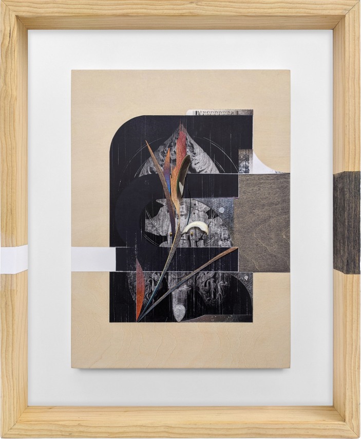 Omar Barquet,&nbsp;u, from the&nbsp;Syllables&nbsp;series,&nbsp;2022. Mixed media collage, wood and oyster shell fragments, peacock feather, silver and gold pin, colored pencil, enamel and ink on printed paper, custom artist frame, 17 x 14 1/4 inches.