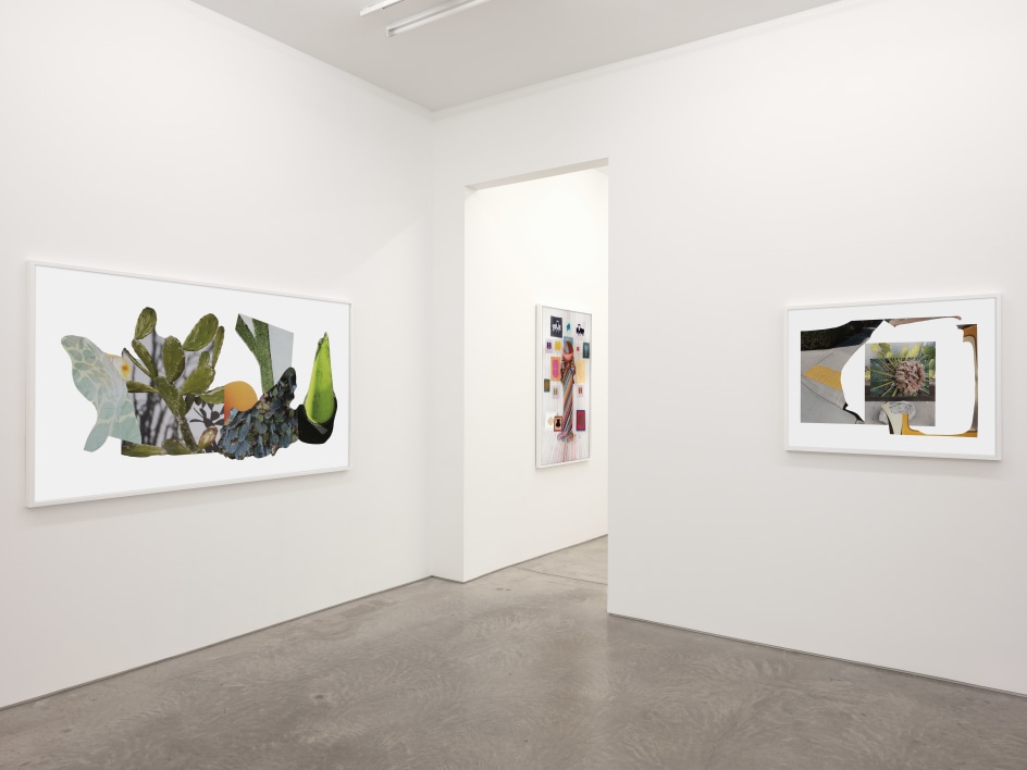 Installation view, Sandi Haber Fifield,&nbsp;The Thing in Front of You, Yancey Richardson Gallery, 2024.