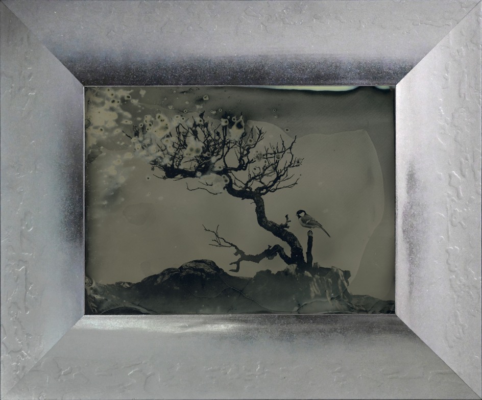 Yamamoto Masao,&nbsp;Untitled (AM #14), 2023. Unique collodion ambrotype, image size: 5 1/8 x 7 inches, frame size: 8 7/8 x 10 11/16 inches.