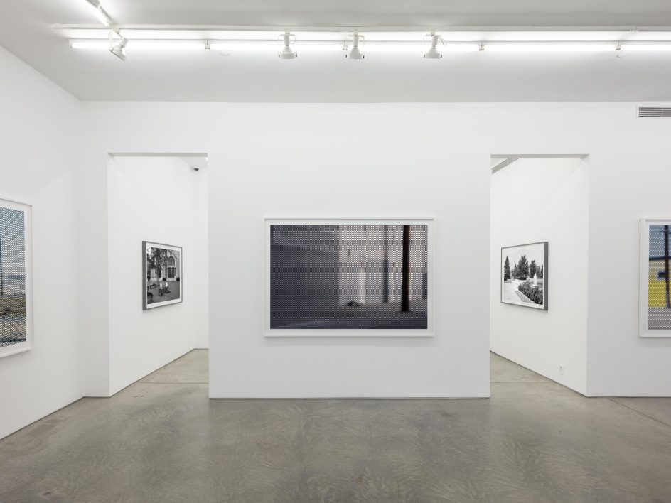 Installation view.