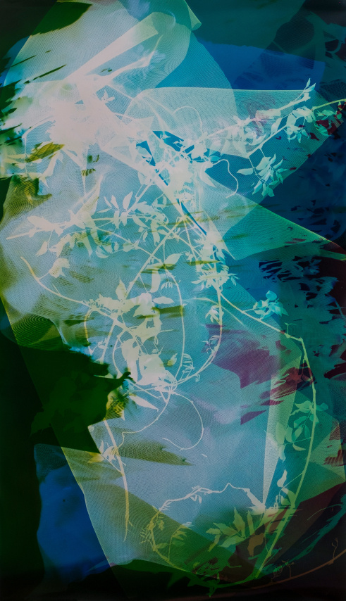 Bryan Graf, Field Recording (The Sun Room IX),&nbsp;2017. Unique chromogenic photogram, 53 x 33 inches.