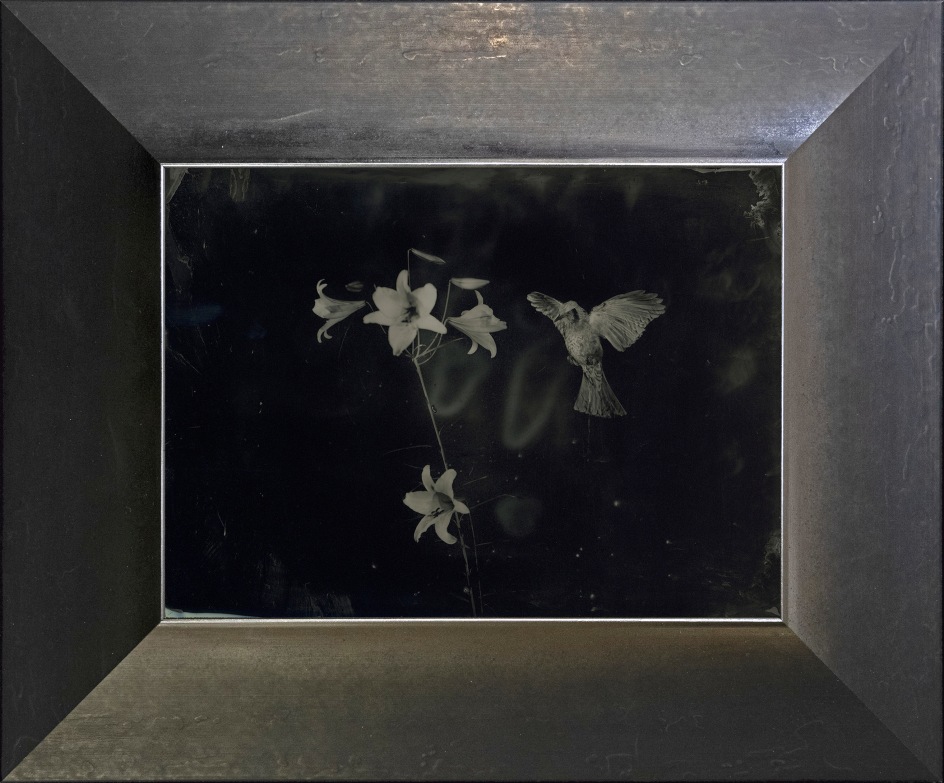 Yamamoto Masao,&nbsp;Untitled (AM #63), 2023. Unique collodion ambrotype, image size: 5 1/8 x 7 inches, frame size: 8 7/8 x 10 11/16 inches.