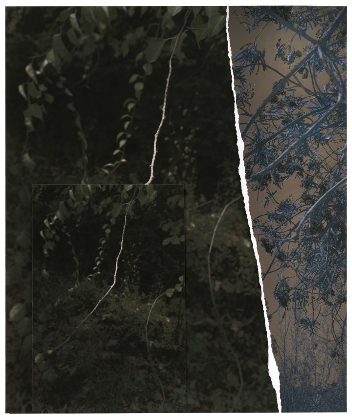 GD19_279,&nbsp;2019. Unique collaged archival pigment print, 18 x 15 inches.&nbsp;