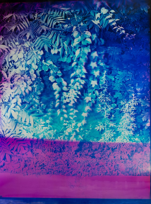 Bryan Graf,&nbsp;Telepathic Jungle #44, 2023, Chromogenic photogram, 68 x 48 inches.