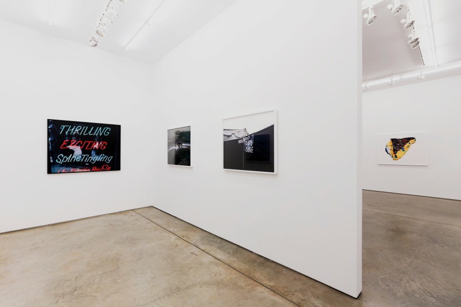 Installation view.