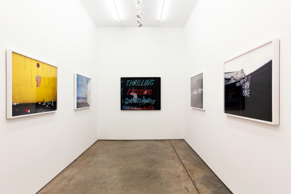 Installation view.