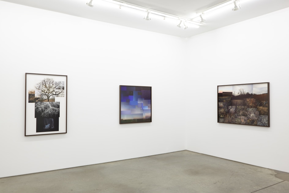 Installation view.