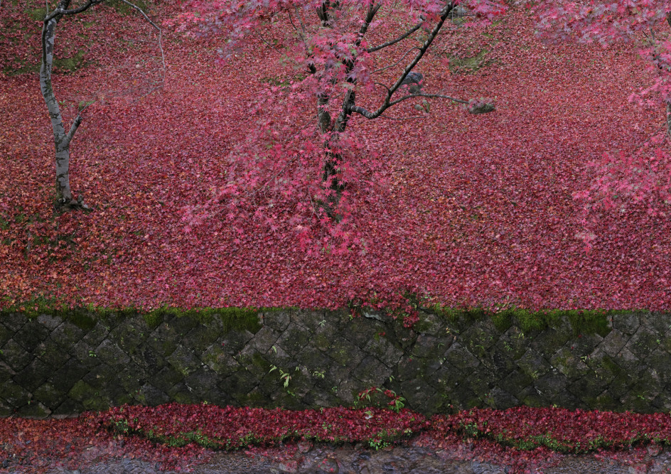 A Matter of Life and Death 01, from the series&nbsp;Floating World, 2016, 51 1/8 x 72 1/2 inch archival pigment print&nbsp;