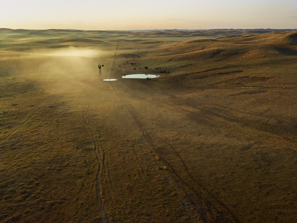 First Light, Cherry County, Nebraska,&nbsp;2013.&nbsp;From the series Dirt Meridian. Archival pigment print.